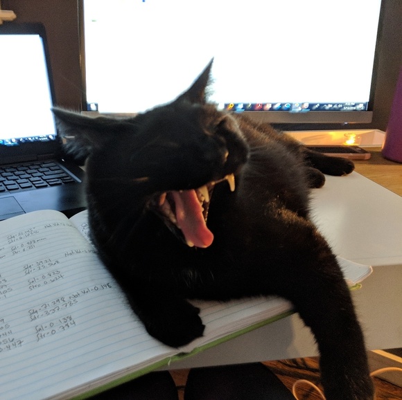 🌈❤CLOSING SHOP🌈❤GREAT DEALS🌈❤ - Picture 2 of 8